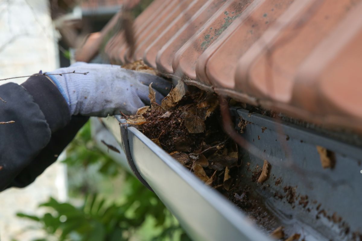 A person wearing gloves cleans a gutter on a flat roof, ensuring proper drainage and maintenance.